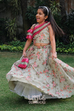 Load image into Gallery viewer, Orgenza Lehenga in Pista Pink Colour
