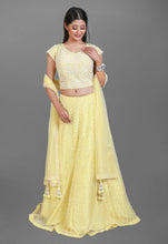 Load image into Gallery viewer, Lehenga in Net Fabric With Intricate Pearl Work and a Heavy Blouse
