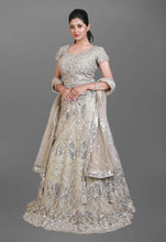 Load image into Gallery viewer, Grey Lehenga in Net Fabric With Intricate Mirror Work and a Heavy Blouse
